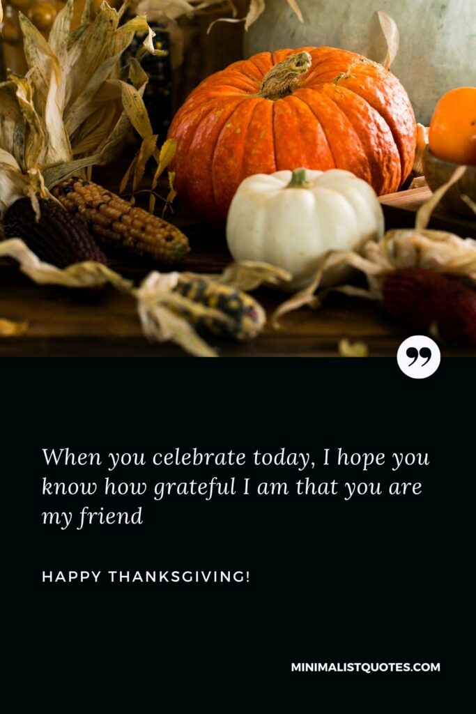 Happy Thanksgiving message to friends: When you celebrate today, I hope you know how grateful I am that you are my friend. Happy Thanksgiving!