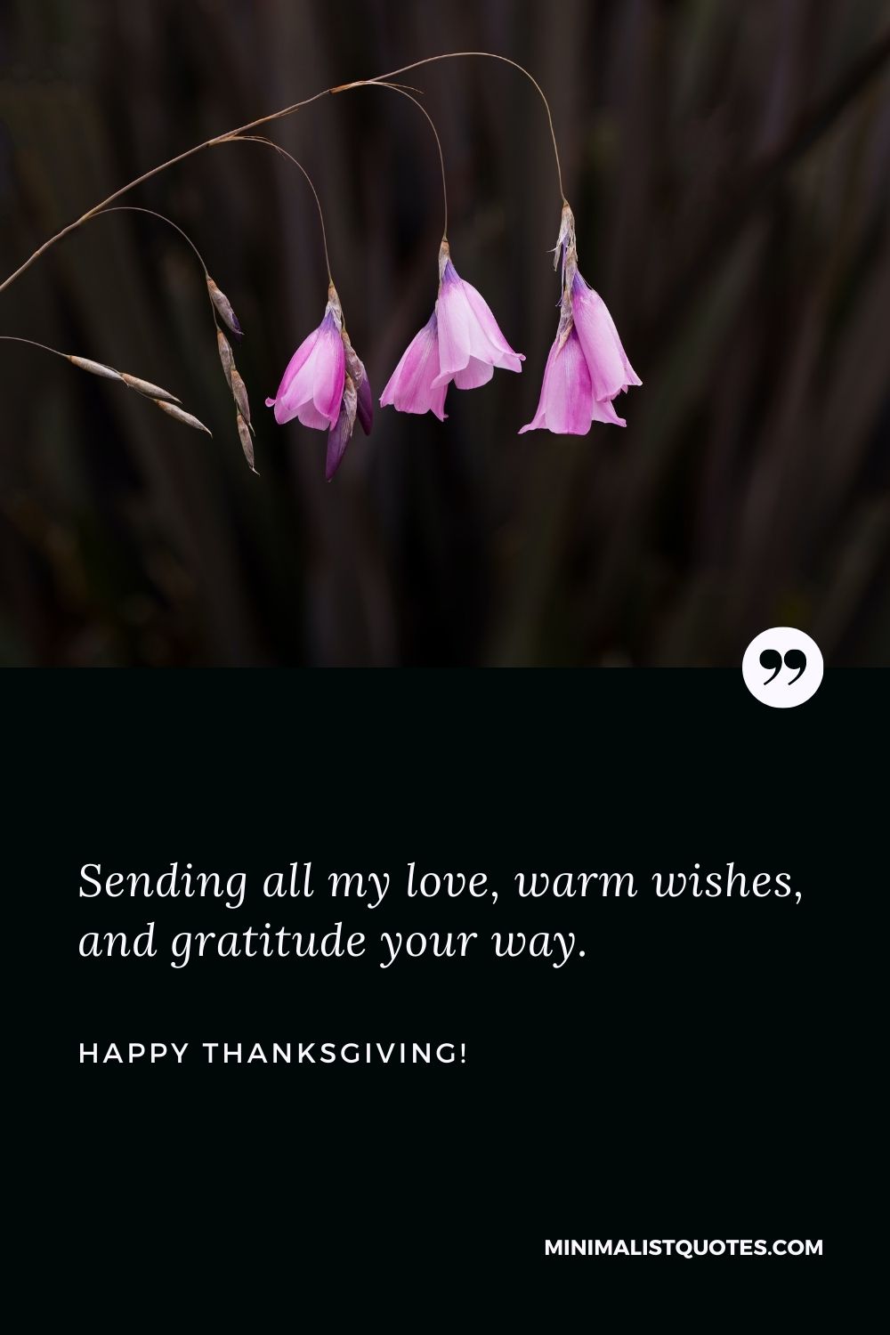 Happy thanksgiving sayings: Sending all my love, warm wishes, and gratitude your way. Happy Thanksgiving!
