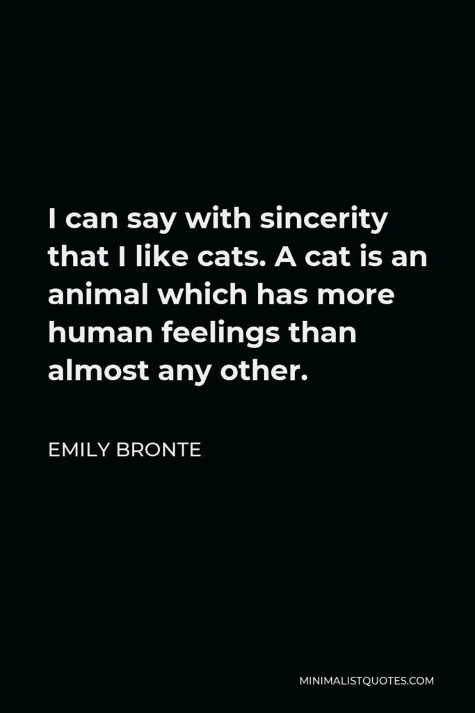 Emily Bronte Quote - I can say with sincerity that I like cats. A cat is an animal which has more human feelings than almost any other.