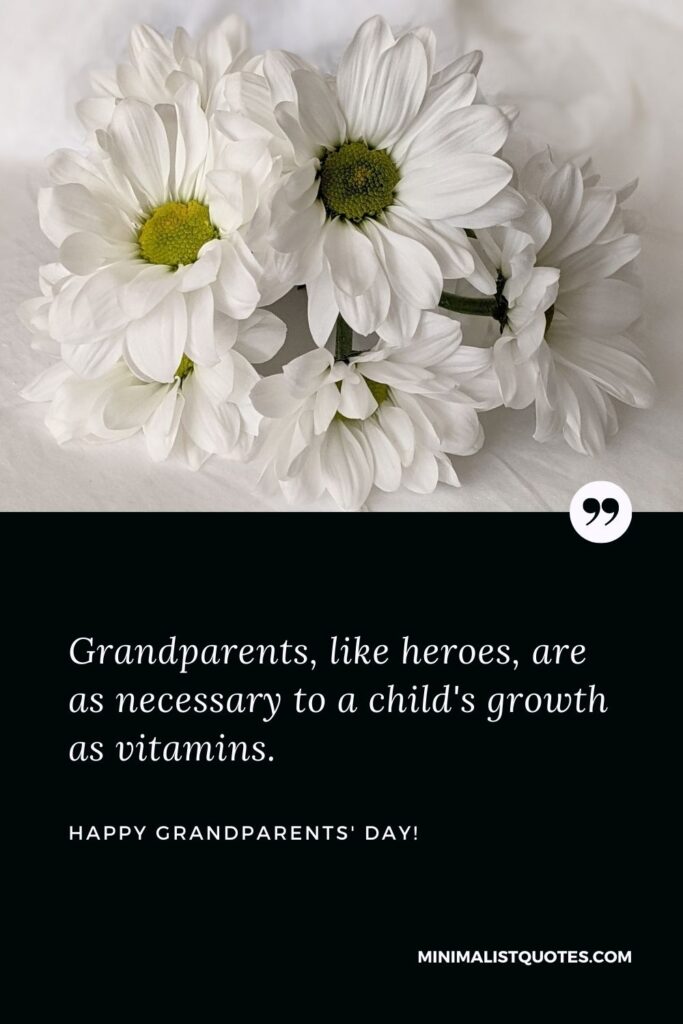 Inspirational quotes for grandparents day: Grandparents, like heroes, are as necessary to a child's growth as vitamins. Happy Grandparents Day!