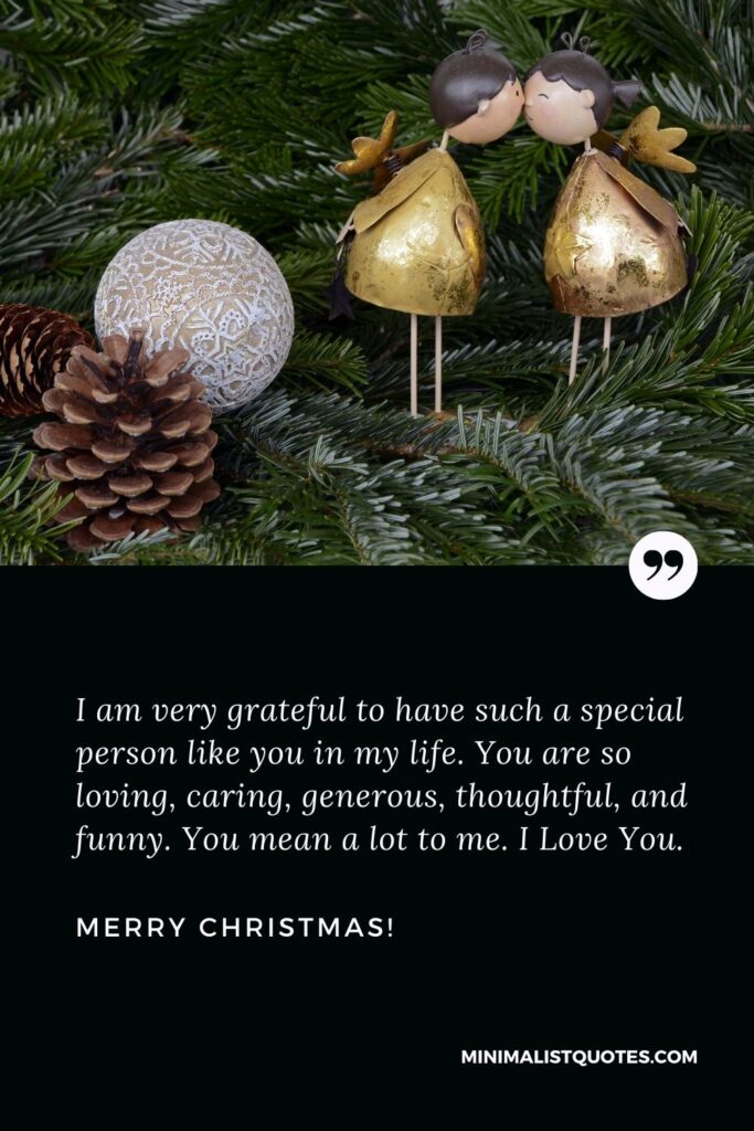 Merry Christmas my love: I am very grateful to have such a special person like you in my life. You are so loving, caring, generous, thoughtful, and funny. You mean a lot to me. I Love You. Merry Christmas!