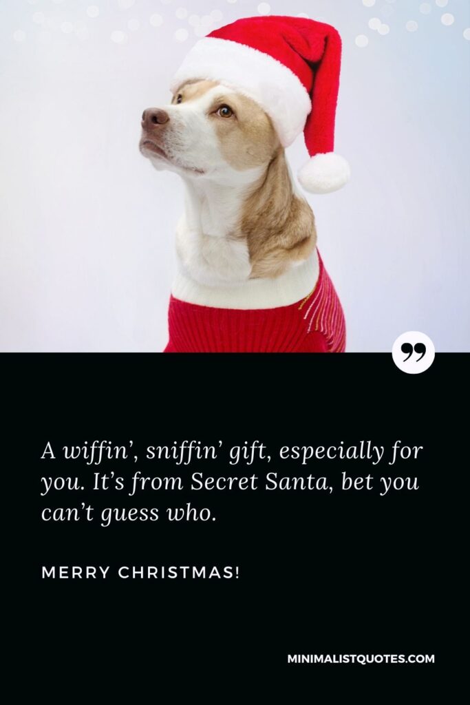Secret Santa quotes: A wiffin’, sniffin’ gift, especially for you. It’s from Secret Santa, bet you can’t guess who. Merry Christmas!