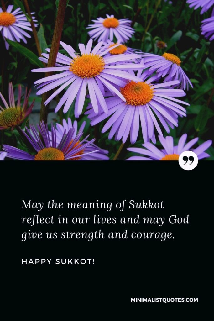 Sukkot Message: May the meaning of Sukkot reflect in our lives and may God give us strength and courage. Happy Sukkot!