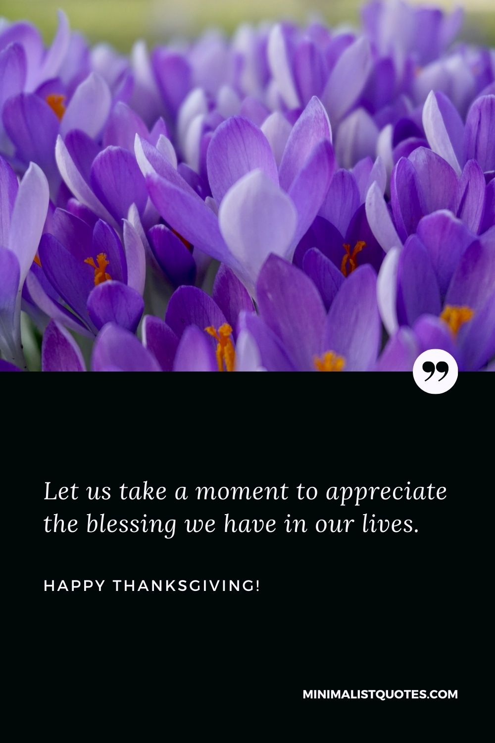 Thanksgiving message to colleagues: Let us take a moment to appreciate the blessing we have in our lives. Happy Thanksgiving!