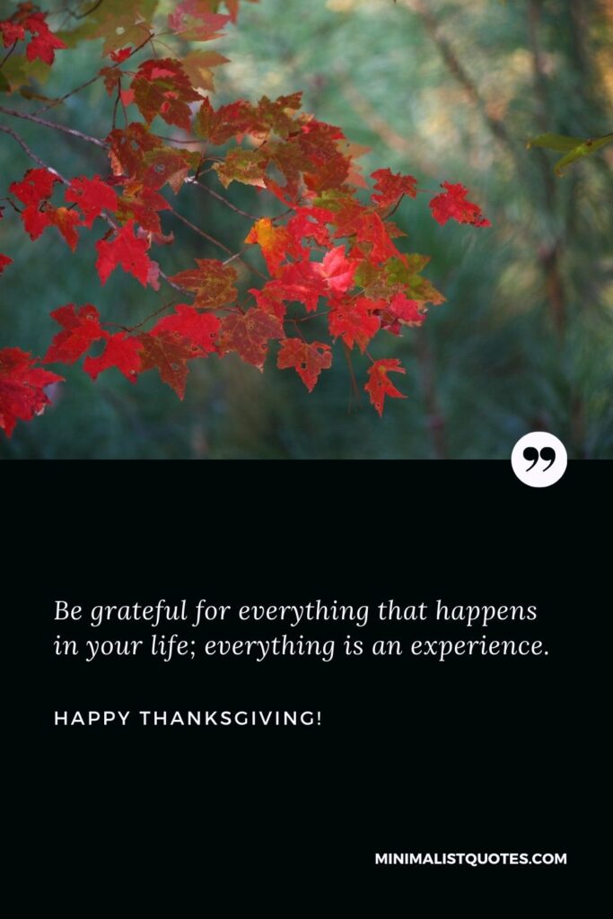 Thanksgiving posts: Be grateful for everything that happens in your life; everything is an experience. Happy Thanksgiving!