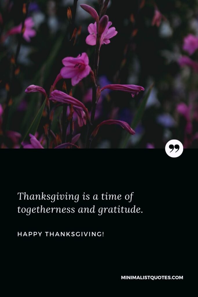 Thanksgiving thankful quotes: Thanksgiving is a time of togetherness and gratitude. Happy Thanksgiving!