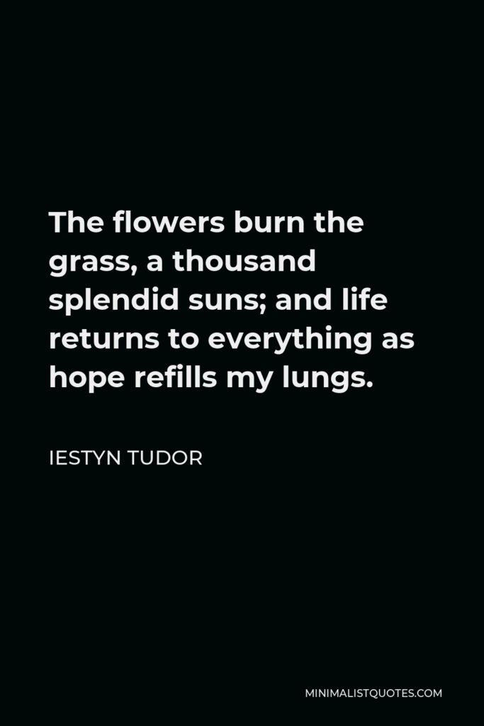 Iestyn Tudor Quote - The flowers burn the grass, a thousand splendid suns; and life returns to everything as hope refills my lungs.