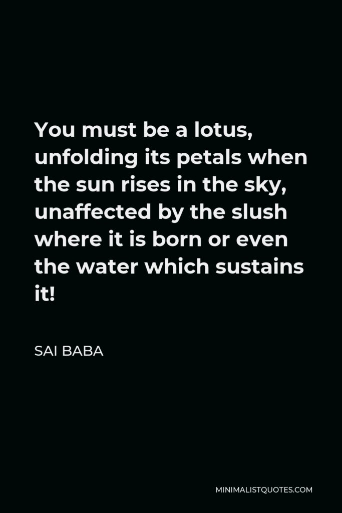 Sai Baba Quote - You must be a lotus, unfolding its petals when the sun rises in the sky, unaffected by the slush where it is born or even the water which sustains it!
