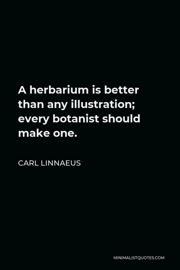Carl Linnaeus Quote - A herbarium is better than any illustration; every botanist should make one.
