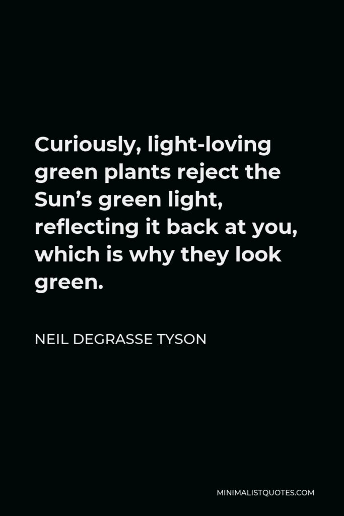 Neil deGrasse Tyson Quote - Curiously, light-loving green plants reject the Sun’s green light, reflecting it back at you, which is why they look green.