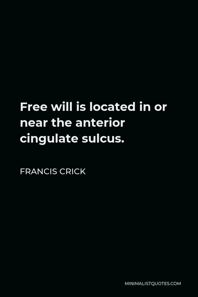 Francis Crick Quote - Free will is located in or near the anterior cingulate sulcus.
