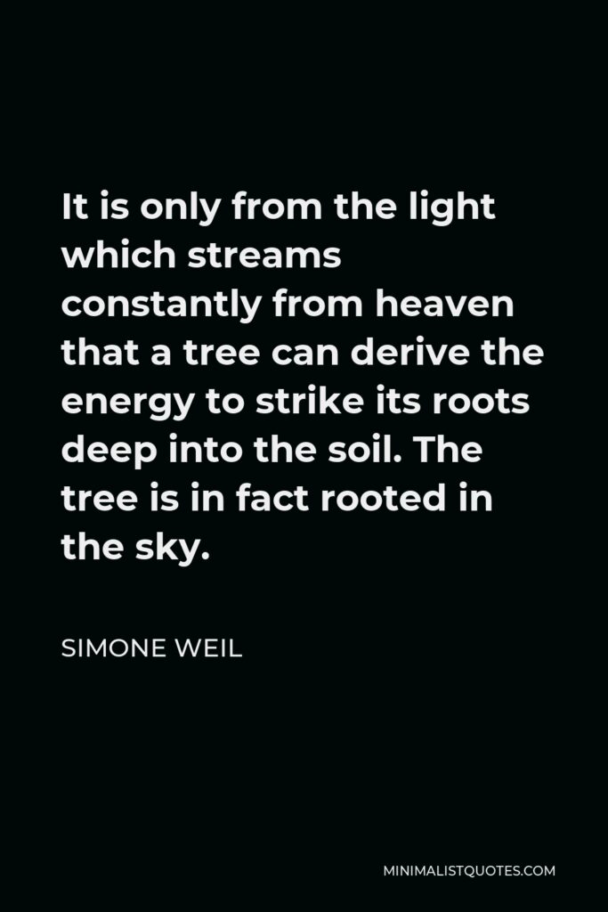 Simone Weil Quote - It is only from the light which streams constantly from heaven that a tree can derive the energy to strike its roots deep into the soil. The tree is in fact rooted in the sky.