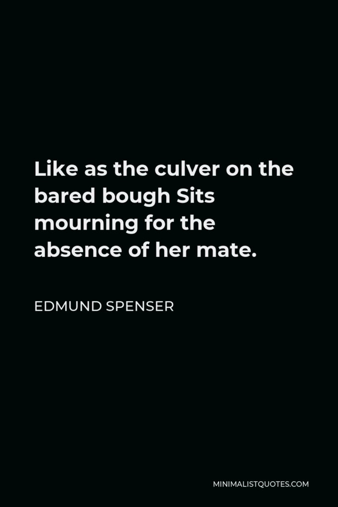 Edmund Spenser Quote - Like as the culver on the bared bough Sits mourning for the absence of her mate.
