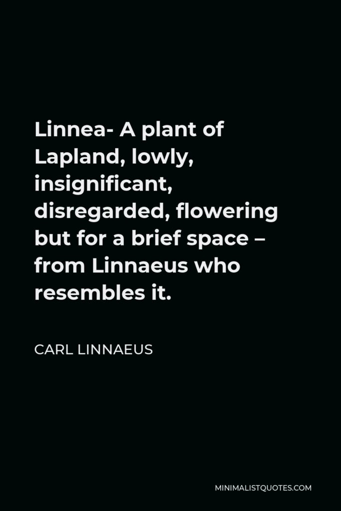 Carl Linnaeus Quote - Linnea- A plant of Lapland, lowly, insignificant, disregarded, flowering but for a brief space – from Linnaeus who resembles it.