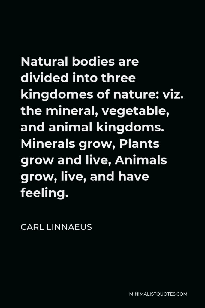 Carl Linnaeus Quote - Natural bodies are divided into three kingdomes of nature: viz. the mineral, vegetable, and animal kingdoms. Minerals grow, Plants grow and live, Animals grow, live, and have feeling.