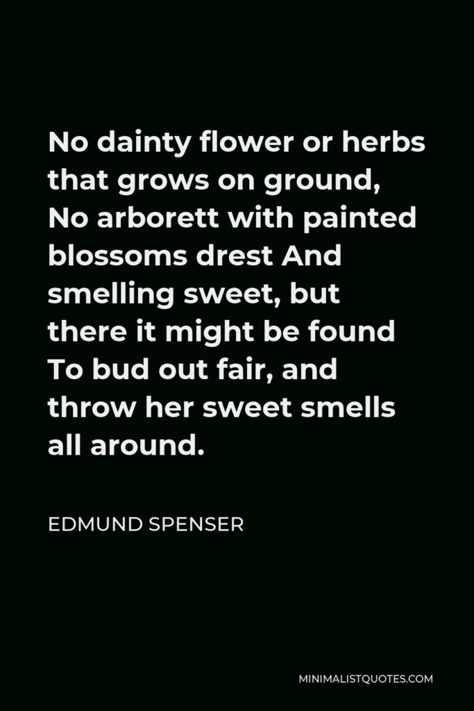 Edmund Spenser Quote - No dainty flower or herbs that grows on ground, No arborett with painted blossoms drest And smelling sweet, but there it might be found To bud out fair, and throw her sweet smells all around.