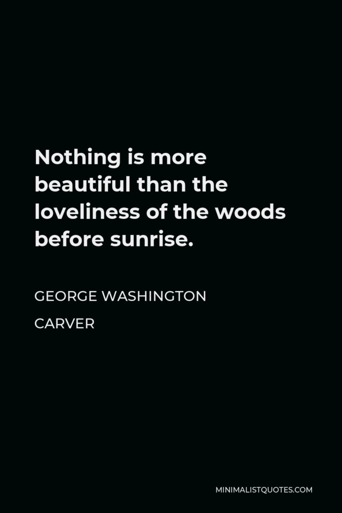George Washington Carver Quote - Nothing is more beautiful than the loveliness of the woods before sunrise.