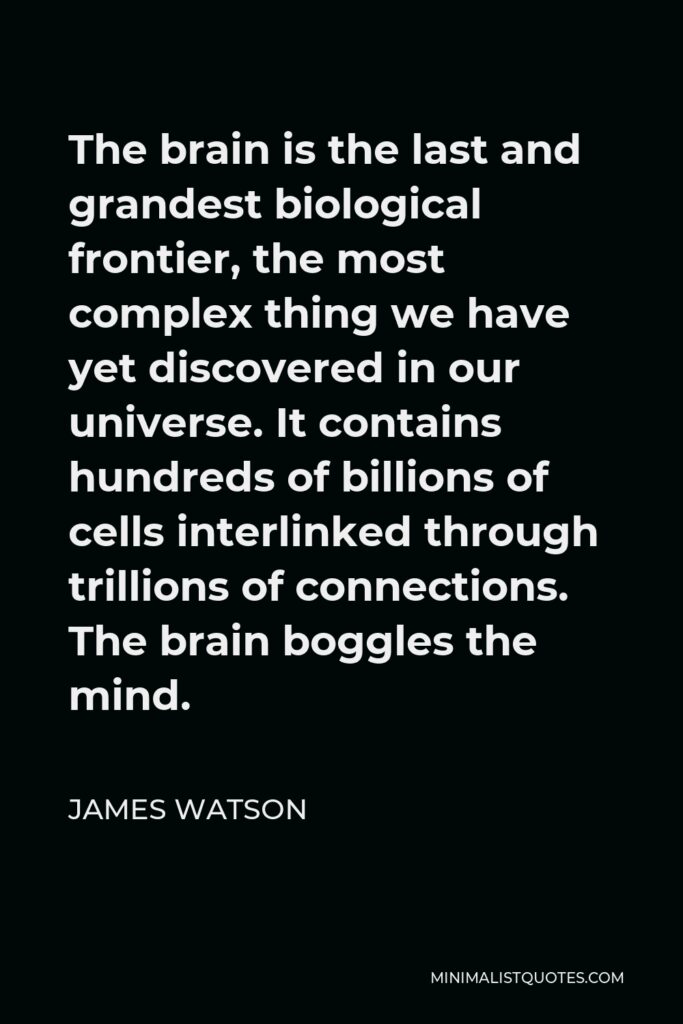 James Watson Quote - The brain is the last and grandest biological frontier, the most complex thing we have yet discovered in our universe. It contains hundreds of billions of cells interlinked through trillions of connections. The brain boggles the mind.