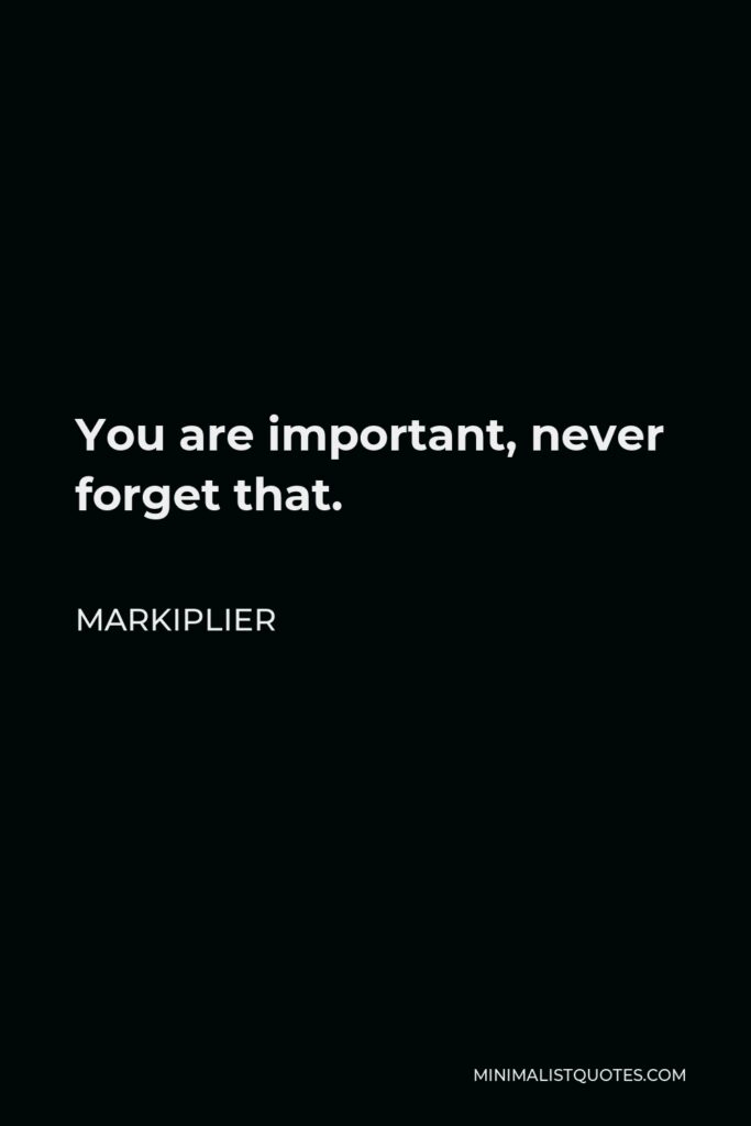 Markiplier Quote - You are important, never forget that.