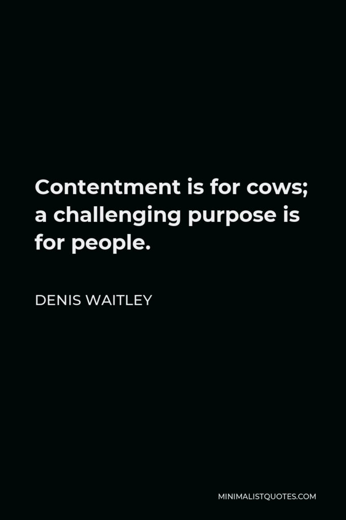 Denis Waitley Quote - Contentment is for cows; a challenging purpose is for people.