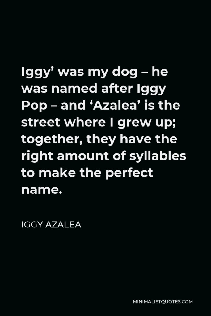 Iggy Azalea Quote - Iggy’ was my dog – he was named after Iggy Pop – and ‘Azalea’ is the street where I grew up; together, they have the right amount of syllables to make the perfect name.