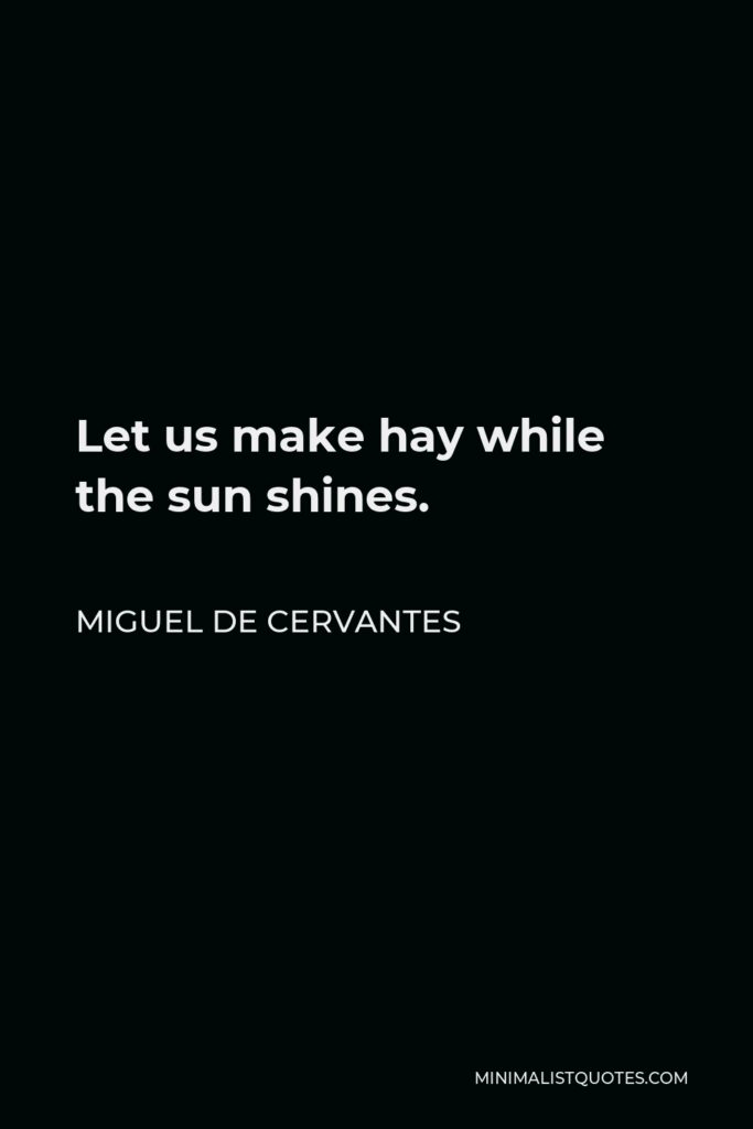 Miguel de Cervantes Quote - Let us make hay while the sun shines.