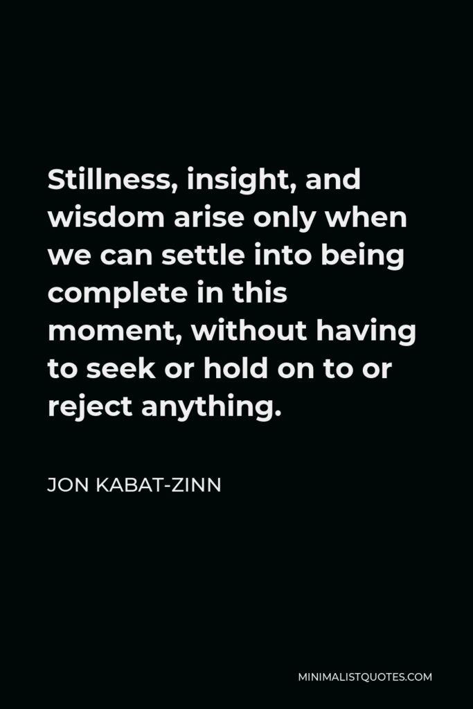 Jon Kabat-Zinn Quote - Stillness, insight, and wisdom arise only when we can settle into being complete in this moment, without having to seek or hold on to or reject anything.