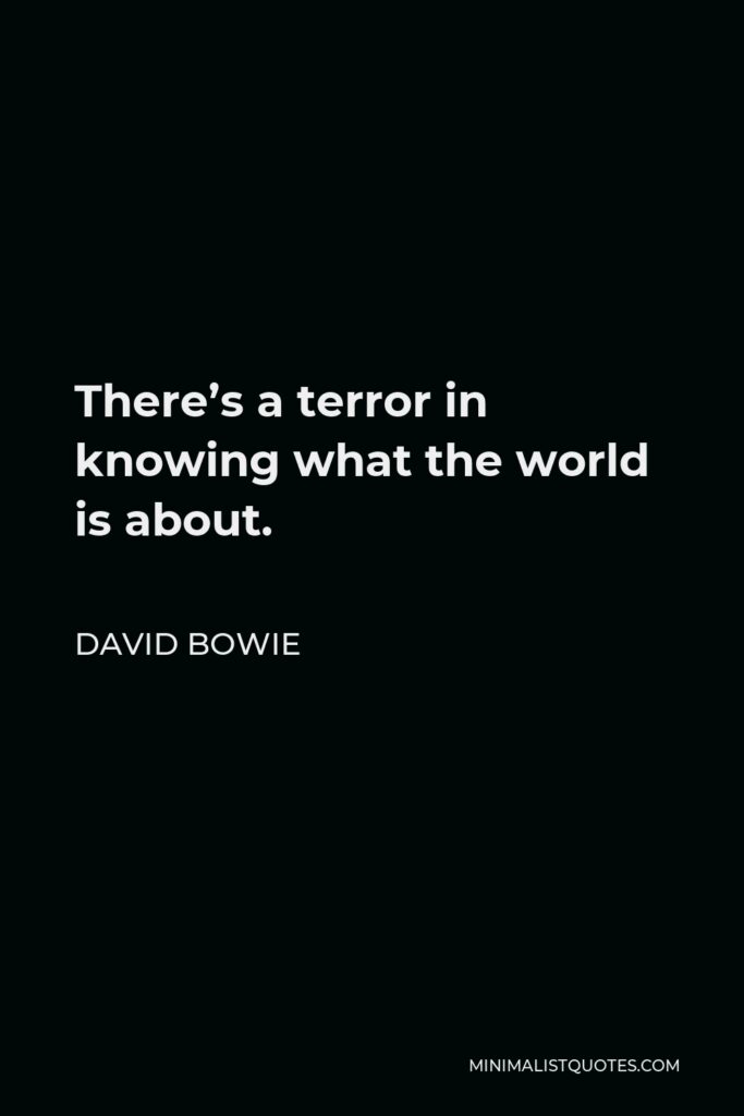 David Bowie Quote - There’s a terror in knowing what the world is about.
