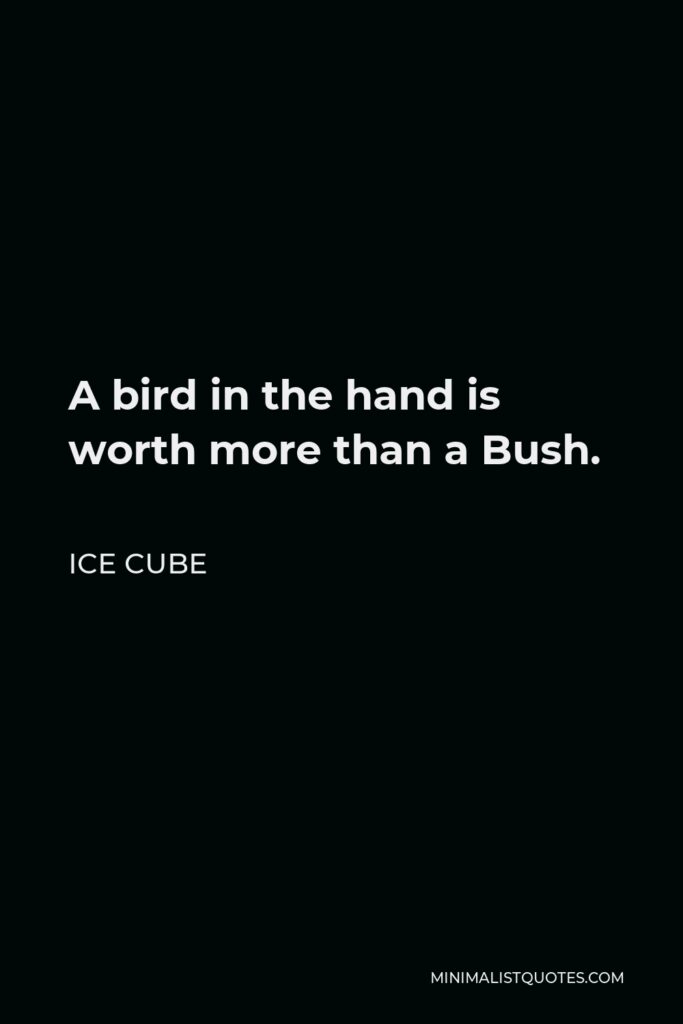 Ice Cube Quote - A bird in the hand is worth more than a Bush.