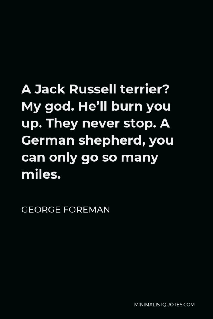 George Foreman Quote - A Jack Russell terrier? My god. He’ll burn you up. They never stop. A German shepherd, you can only go so many miles.
