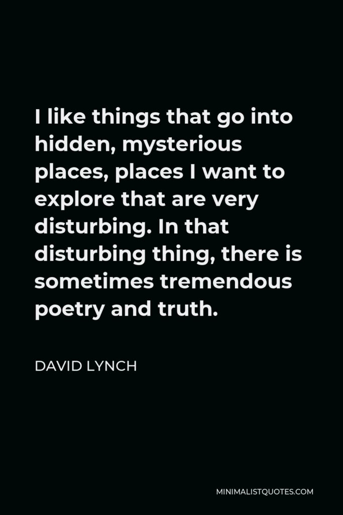 David Lynch Quote - I like things that go into hidden, mysterious places, places I want to explore that are very disturbing. In that disturbing thing, there is sometimes tremendous poetry and truth.