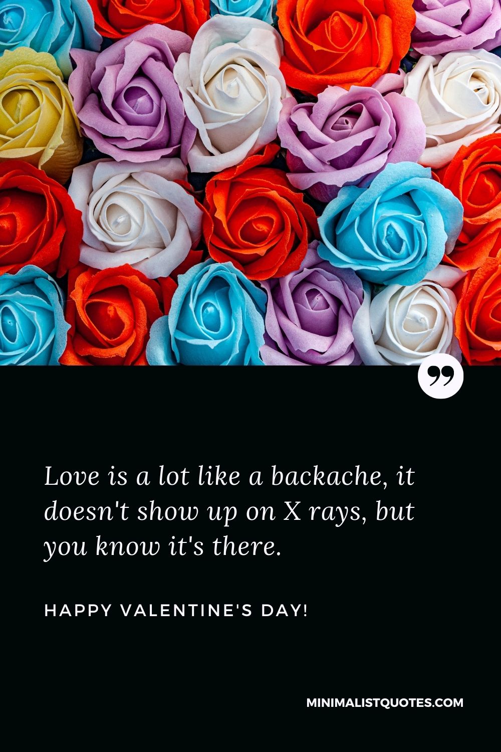 Love is a lot like a backache, it doesn't show up on X rays, but you know  it's there. Happy Valentines Day!