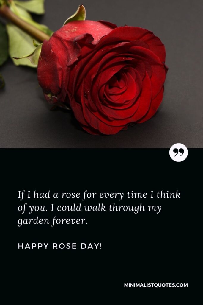 Happy rose day: If I had a rose for every time I think of you. I could walk through my garden forever. Happy Rose Day!