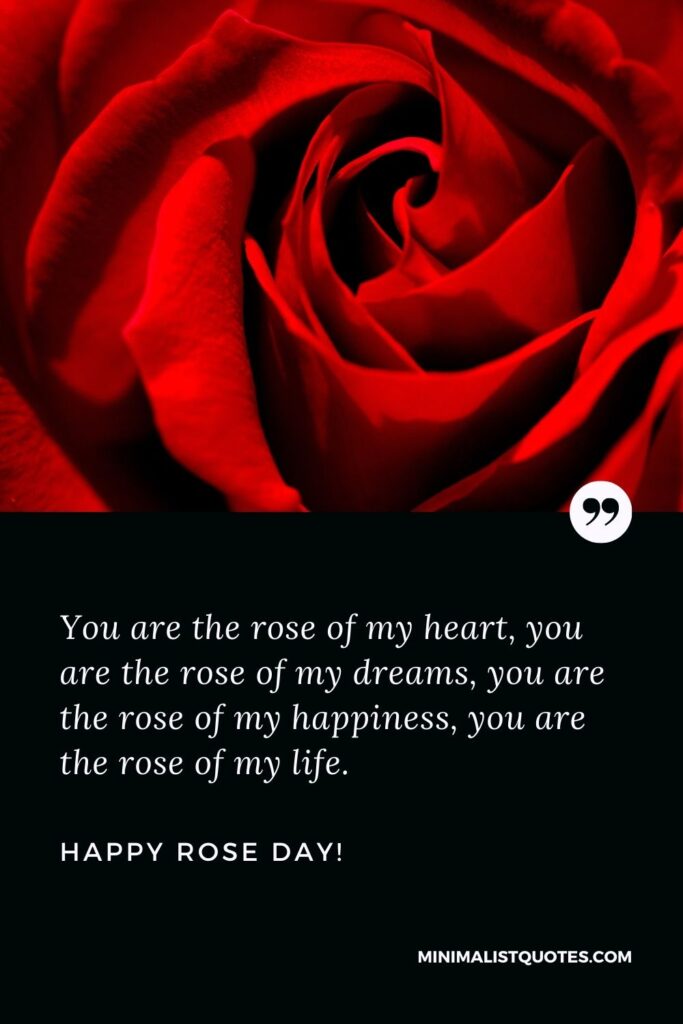 Happy rose day my love: You are the rose of my heart, you are the rose of my dreams, you are the rose of my happiness, you are the rose of my life.