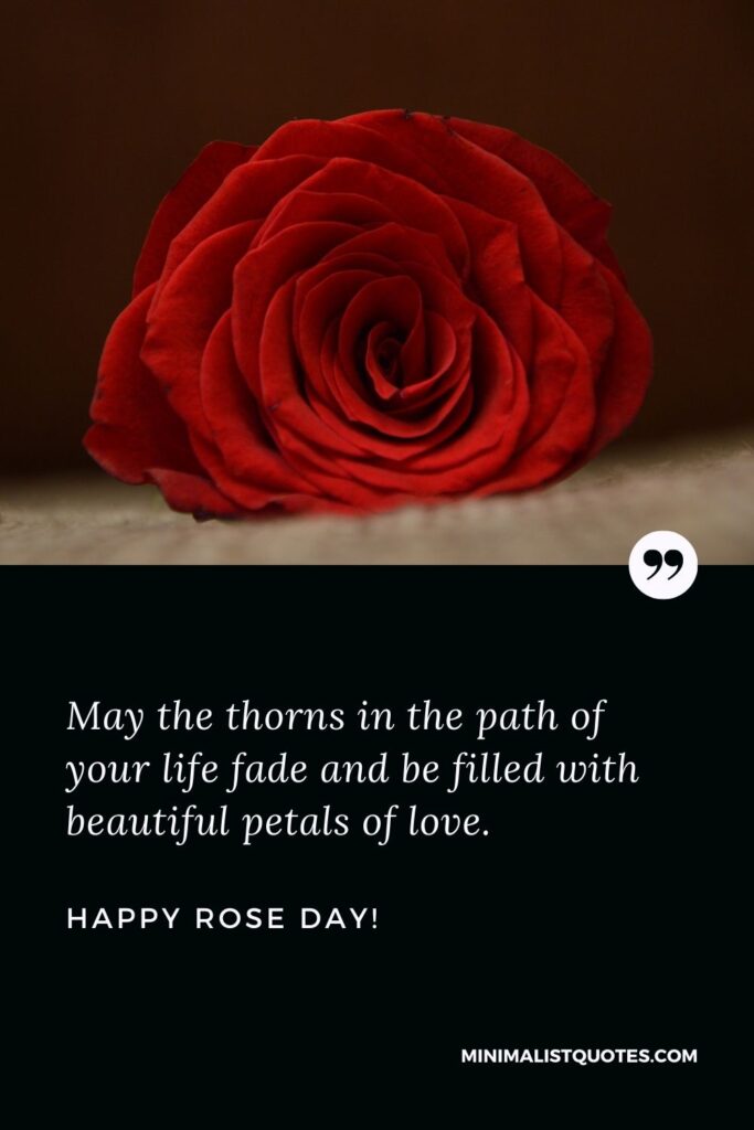 Happy rose day photo: May the thorns in the path of your life will fade and be filled with beautiful petals of love. Happy Rose Day!