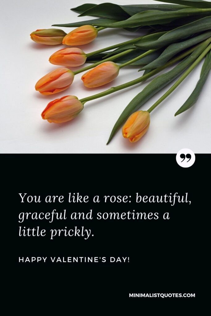Happy valentines day sister quotes: You are like a rose: beautiful, graceful and sometimes a little prickly. Happy Valentines Day!