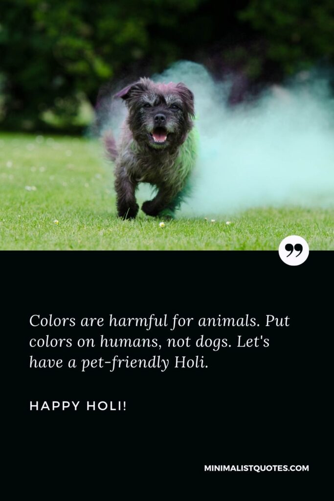 Holi Wishes: Colors are harmful for animals. Put colors on humans, not dogs. Let's have a pet-friendly Holi. Happy Holi!