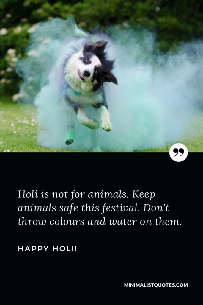 Holi Wishes: Holi is not for animals. Keep animals safe this festival. Don't throw colours and water on them. Happy Holi!