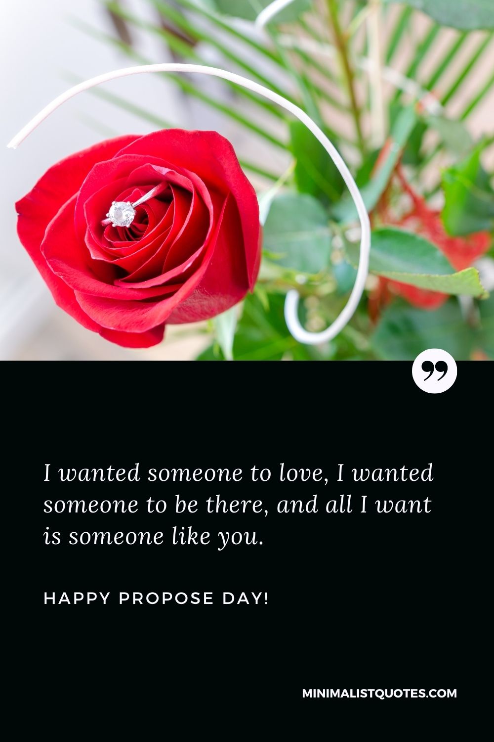 Happy Propose Day 2022: Wishes, Images, Quotes, Messages and WhatsApp  Greetings to Share on 2nd Day of Valentine's Week - News18