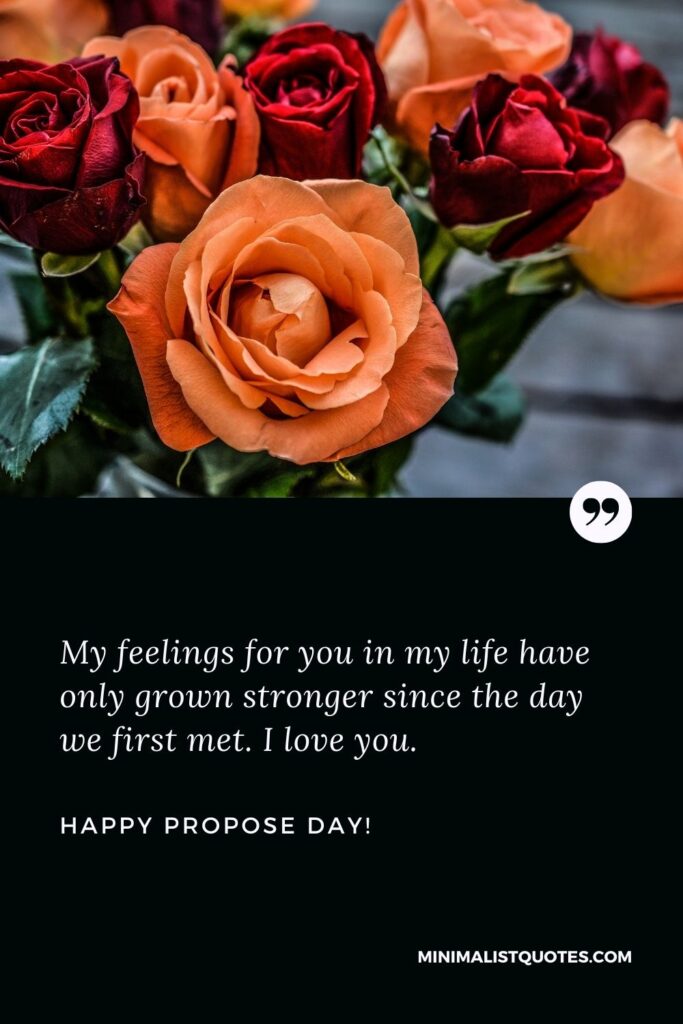 Propose day quotes for wife: My feelings for you in my life have only grown stronger since the day we first met. I love you. Happy Promise Day!