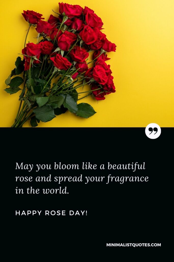 Rose day quotes for husband: May you bloom like a beautiful rose and spread your fragrance in the world. Happy Rose Day!