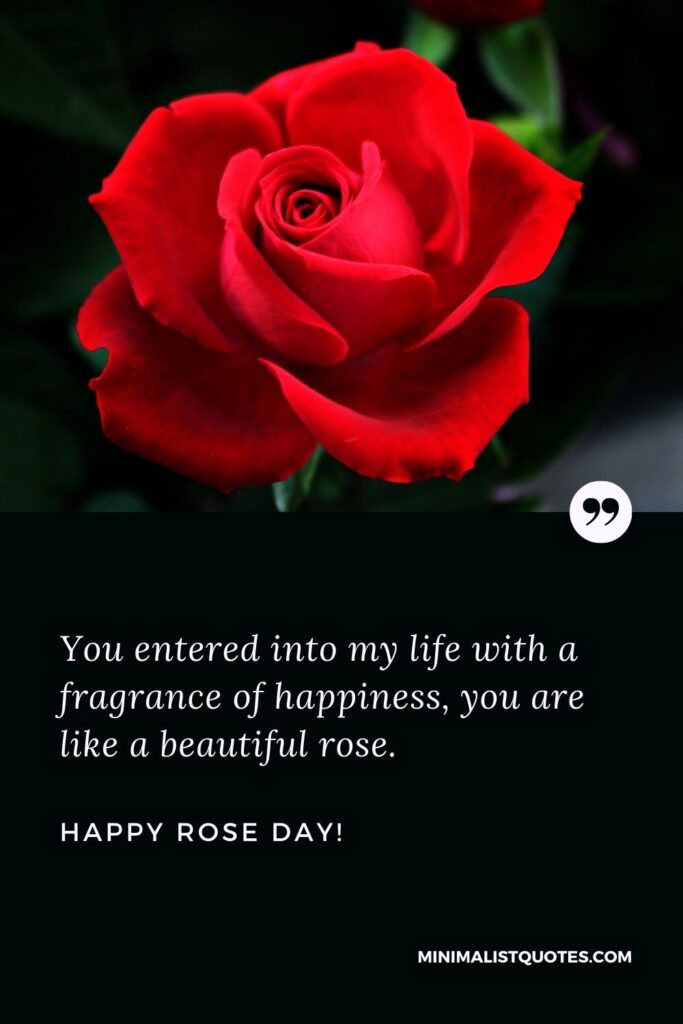 Rose day quotes for love: You entered into my life with a fragrance of happiness, you are like a beautiful rose. Happy Rose Day!