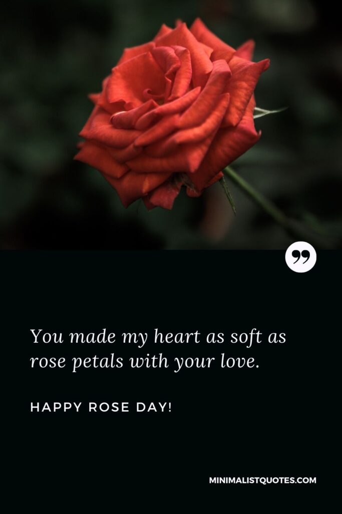 Rose day special quotes for her: You made my heart as soft as rose petals with your love. Happy Rose Day!