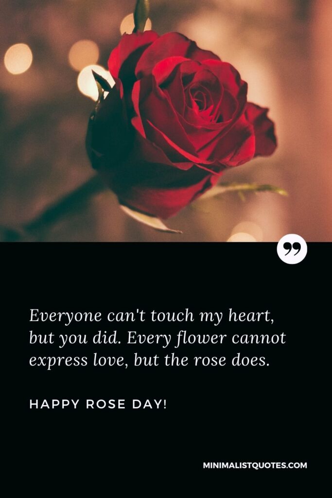 Rose day wishes for boyfriend: Everyone can't touch my heart, but you did. Every flower cannot express love, but the rose does. Happy Rose Day!