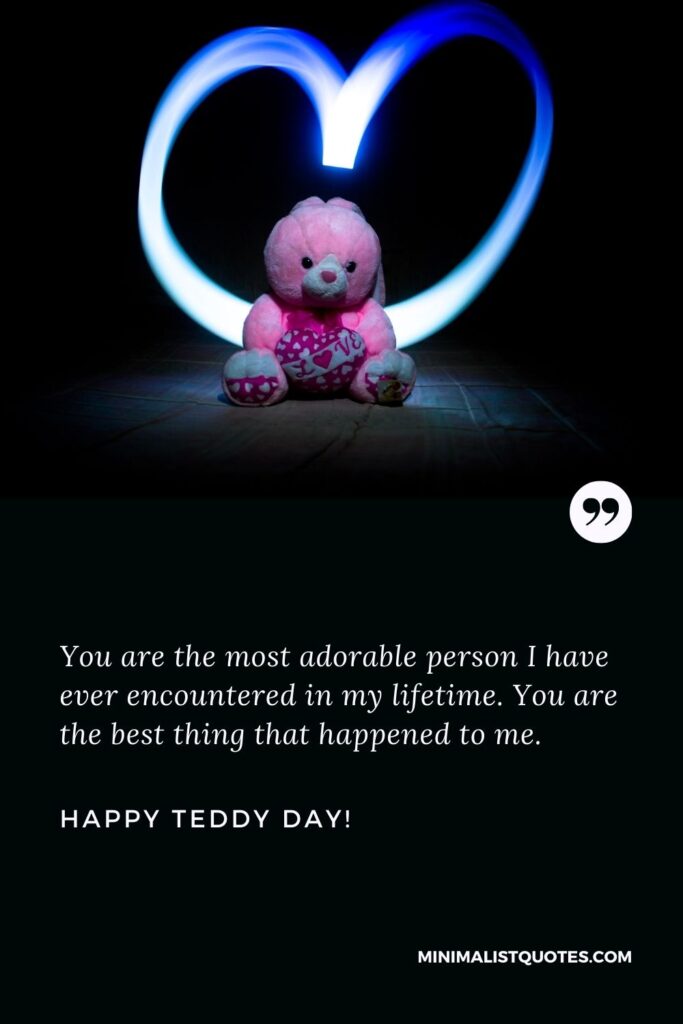 Teddy day msg for love: You are the most adorable person I have ever encountered in my lifetime. You are the best thing that happened to me. Happy Teddy Day!