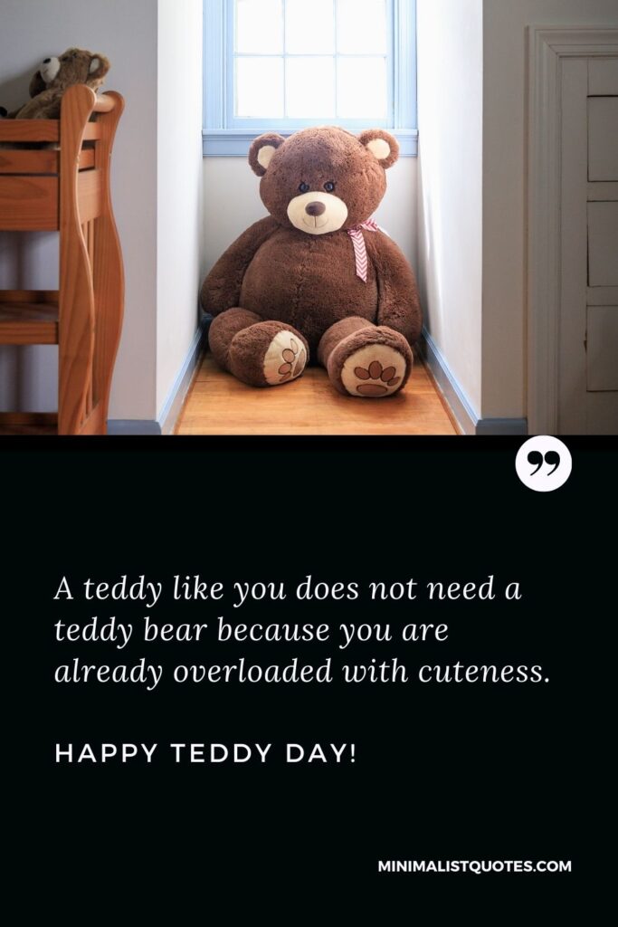 Teddy day quotes for her: A teddy like you does not need a teddy bear because you are already overloaded with cuteness. Happy Teddy Day!