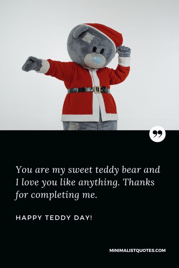 Teddy day quotes for wife: You are my sweet teddy bear and I love you like anything. Thanks for completing me. Happy Teddy Day!