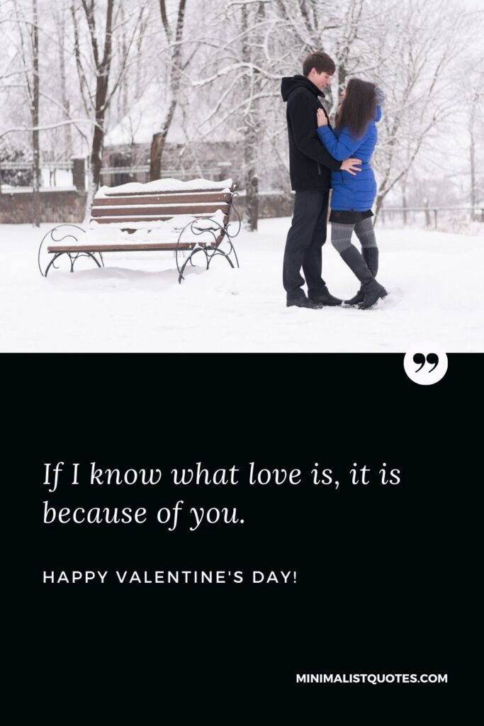 Valentine's day message for wife: If I know what love is, it is because of you. Happy Valentines Day!