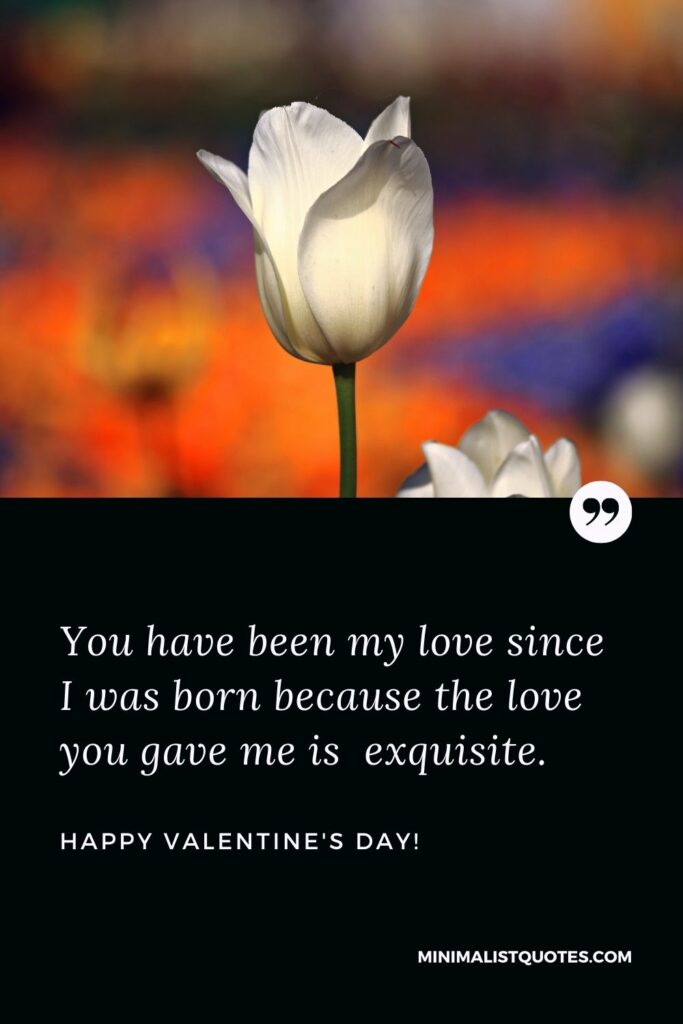Valentine's day wishes for family: You have been my love since I was born because the love you gave me is exquisite. Happy Valentines Day!