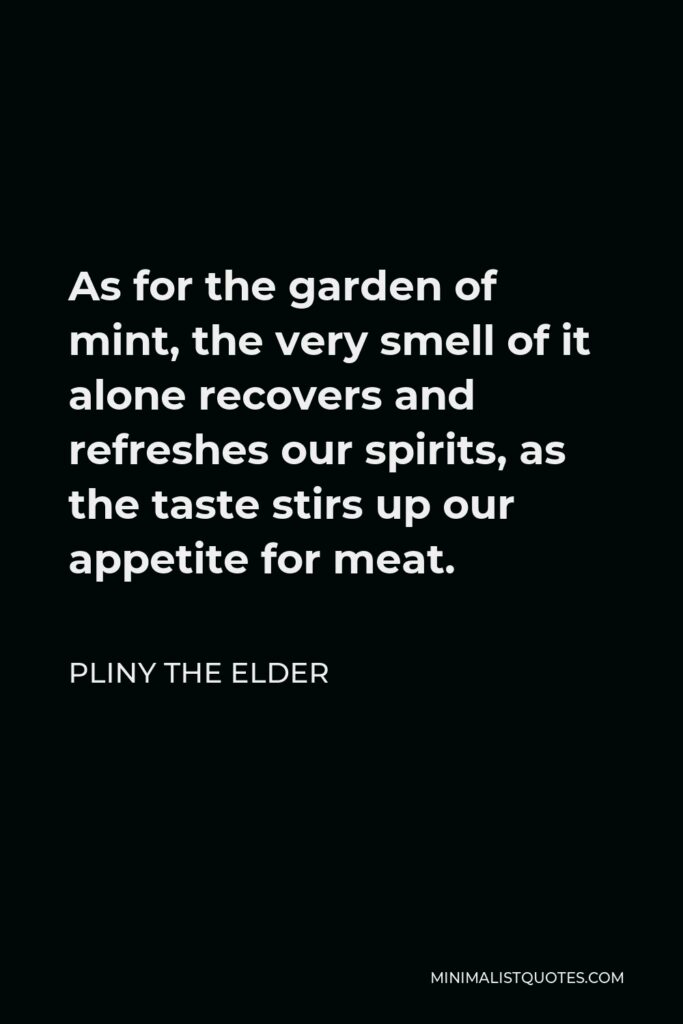 Pliny the Elder Quote - As for the garden of mint, the very smell of it alone recovers and refreshes our spirits, as the taste stirs up our appetite for meat.